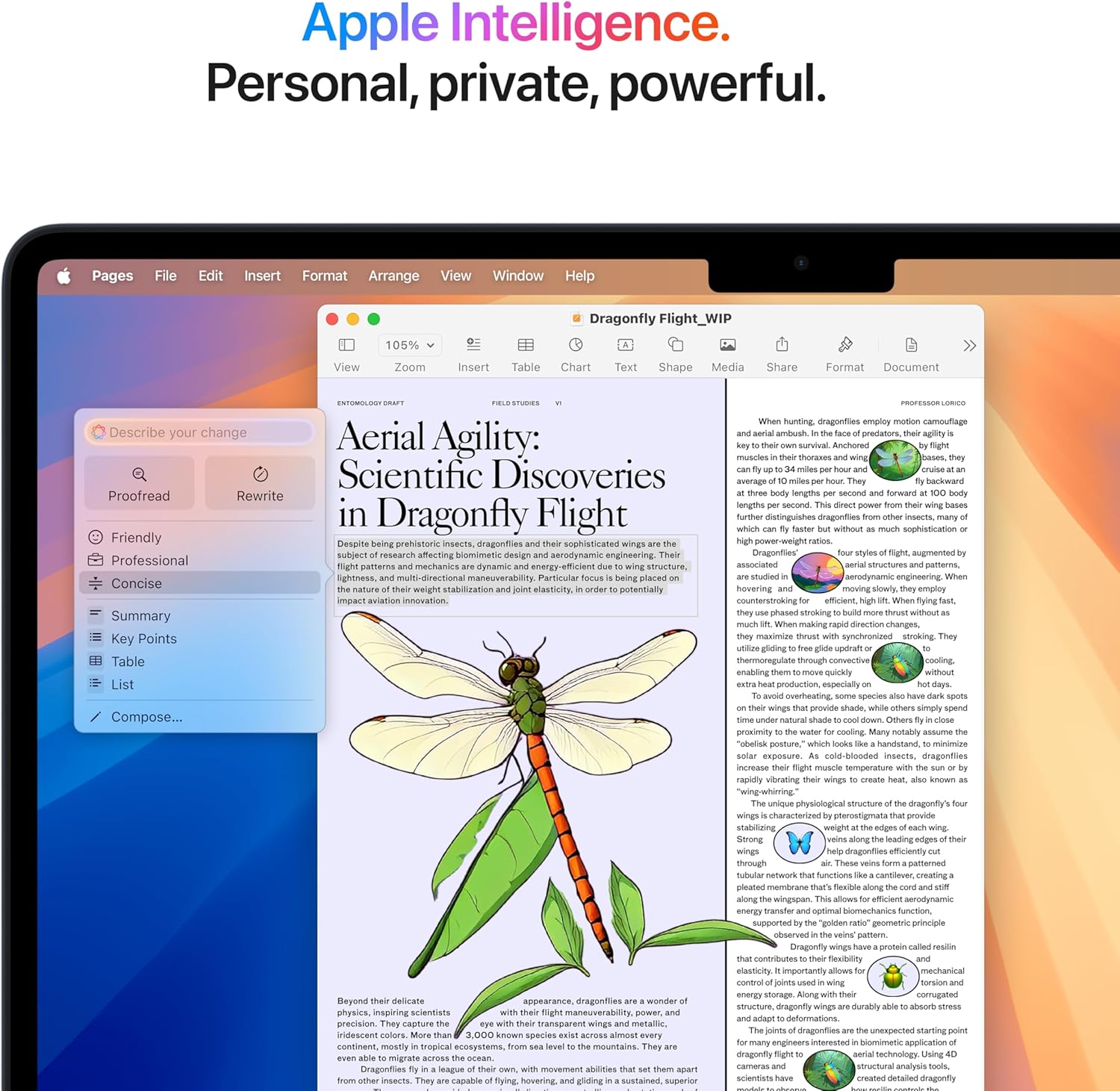Apple Laptop Air X thumbnail